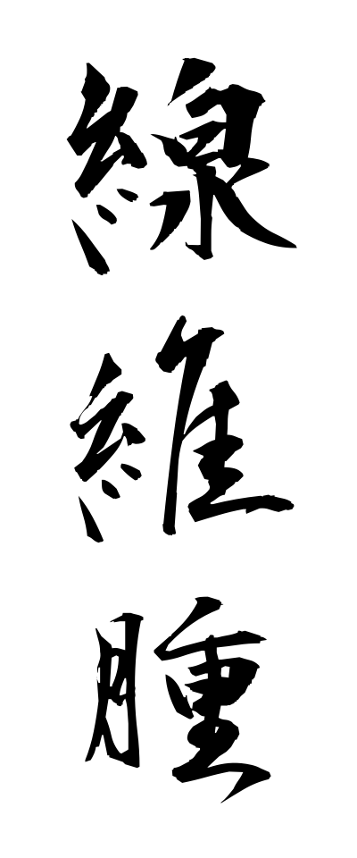 s40799線維腫せんいしゅ