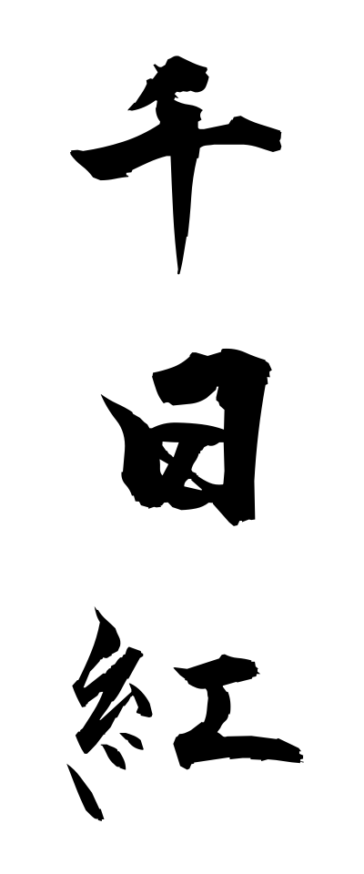 s40953千日紅せんにちこう