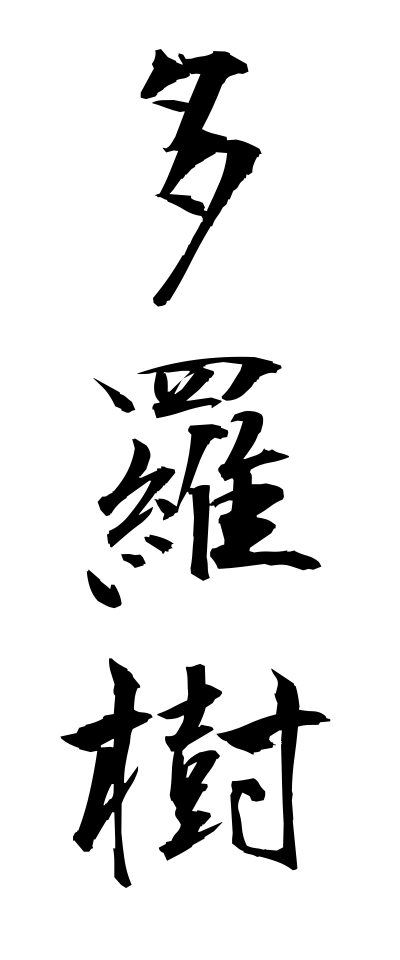 t10695多羅樹たらじゅ