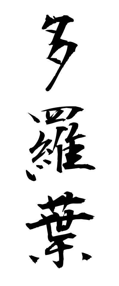 t10703多羅葉たらよう