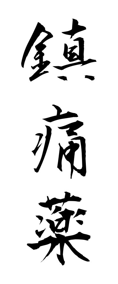 t20835鎮痛薬ちんつうやく