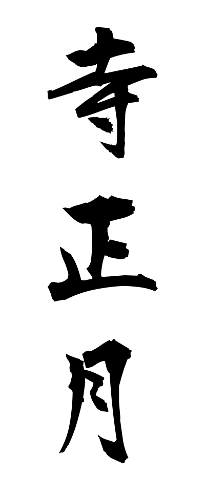 t40408寺正月てらしょうがつ