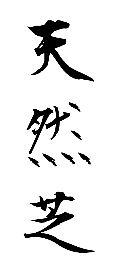 t40553天然芝てんねんしば