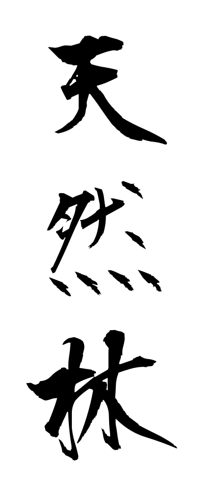 t40560天然林てんねんりん