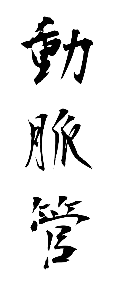 t50560動脈管どうみゃくかん