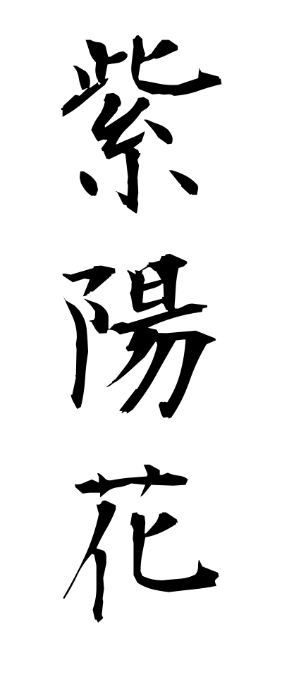 a10094紫陽花あじさい