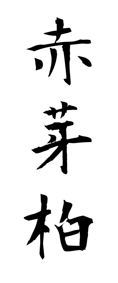 a10324赤芽柏あかめがしわ