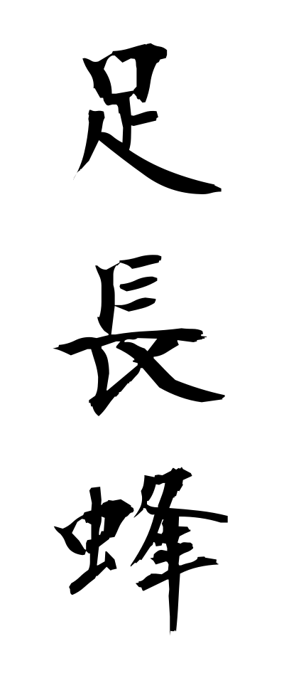 a10431足長蜂あしながばち