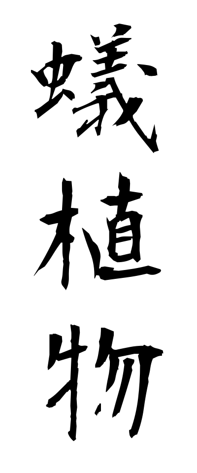 a10607蟻植物ありしょくぶつ