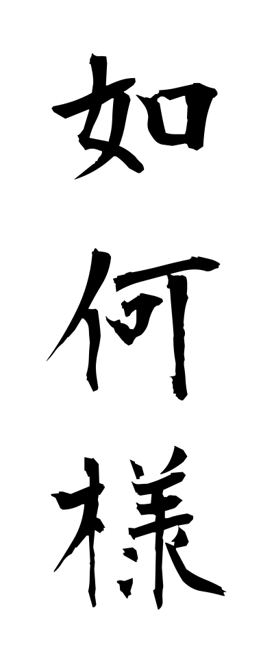 a20015如何様いかさま