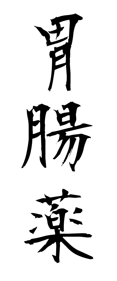 a20133胃腸薬いちょうやく