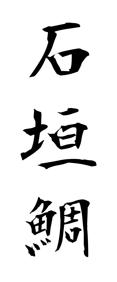 a20386石垣鯛いしがきだい