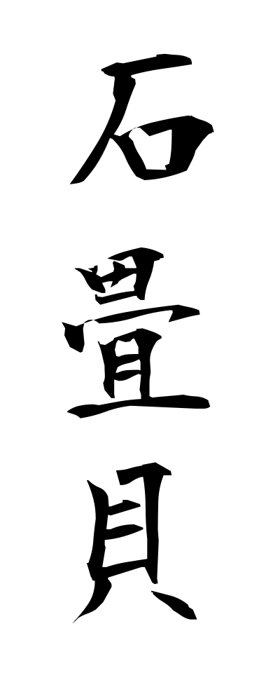 a20399石畳貝いしだたみがい