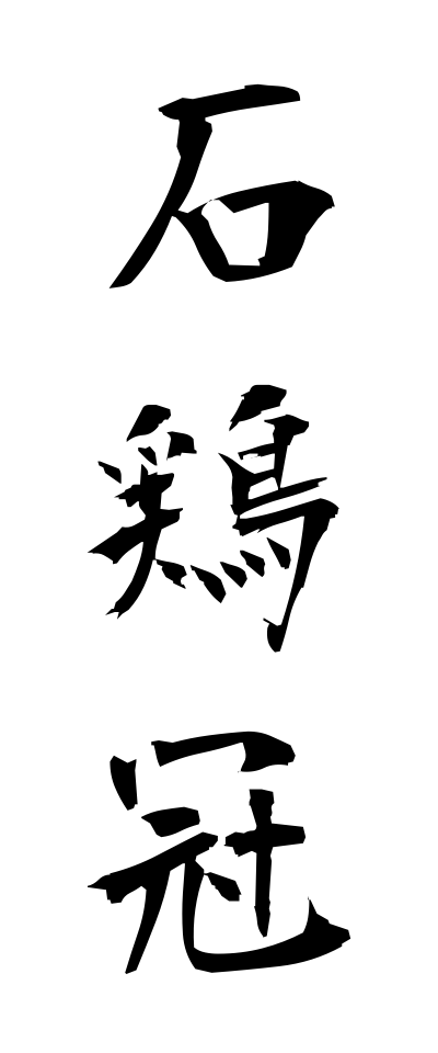a20405石鶏冠いしとさか