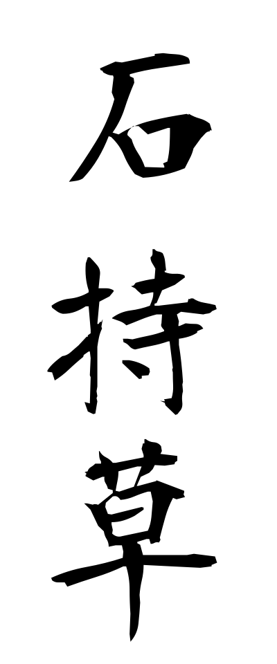 a20421石持草いしもちそう