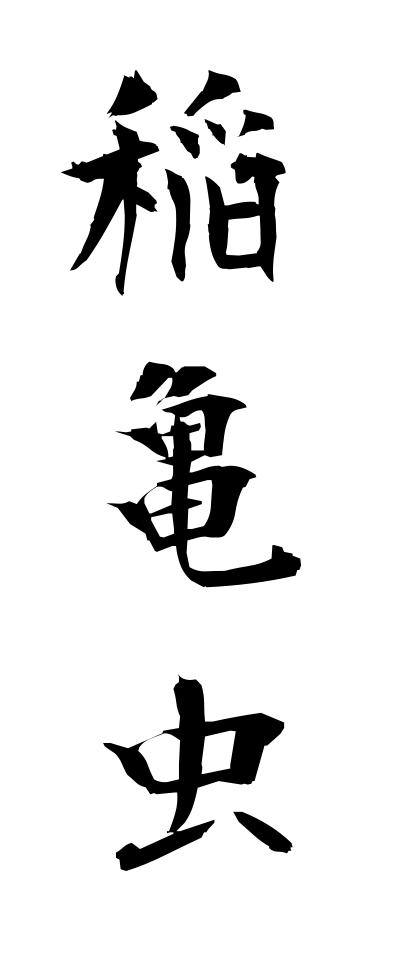 a20643稲亀虫いねかめむし