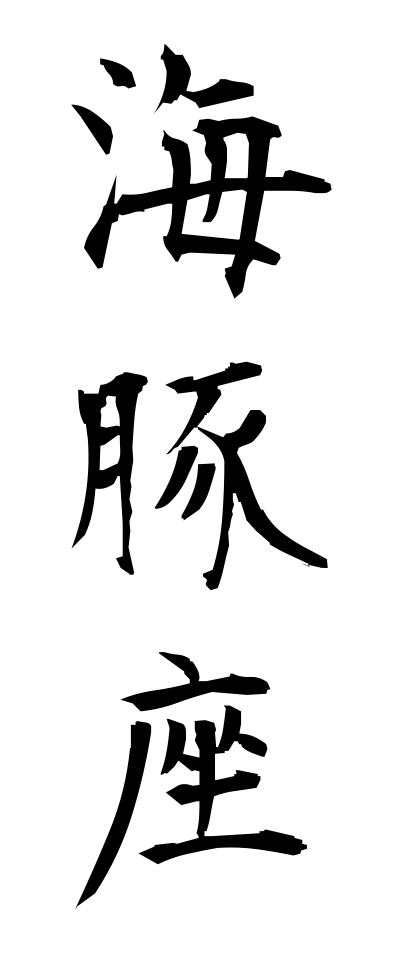 a20700海豚座いるかざ