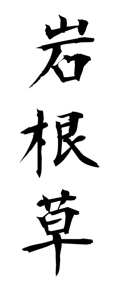 a20723岩根草いわがねそう