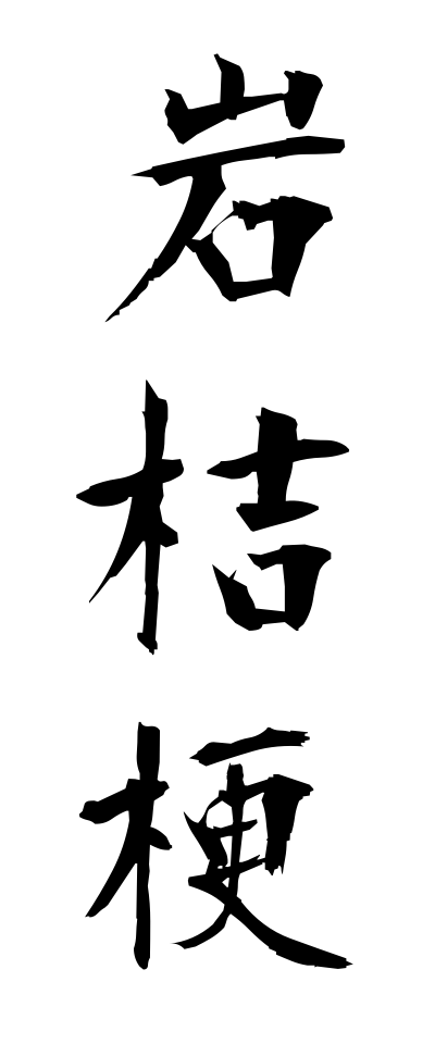 a20725岩桔梗いわぎきょう