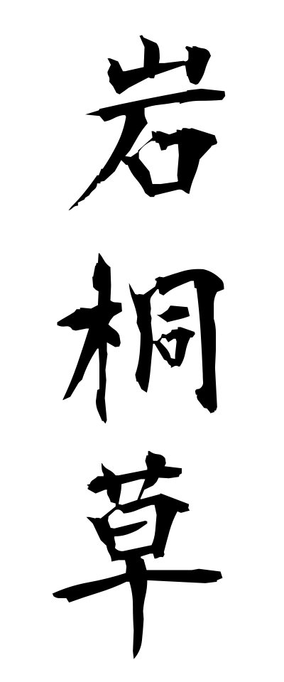 a20728岩桐草いわぎりそう