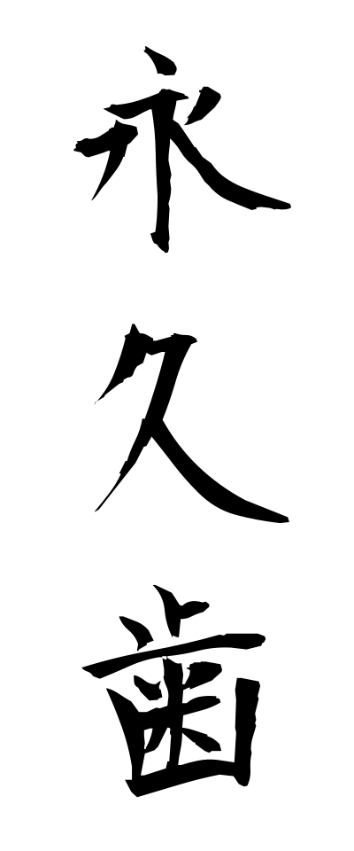 a40009永久歯えいきゅうし