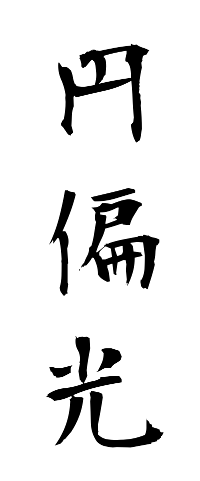 a40137円偏光えんへんこう