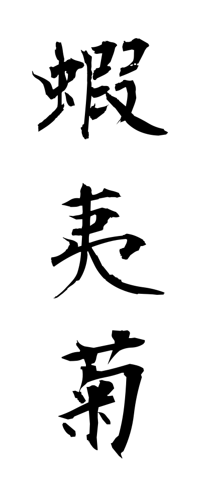 a40181蝦夷菊えぞぎく