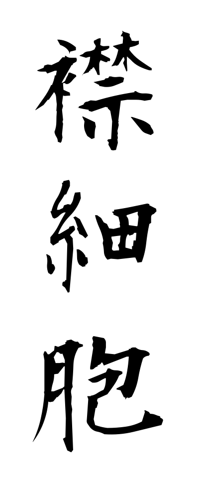 a40254襟細胞えりさいぼう