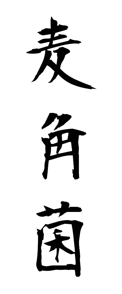 h10100麦角菌ばっかくきん