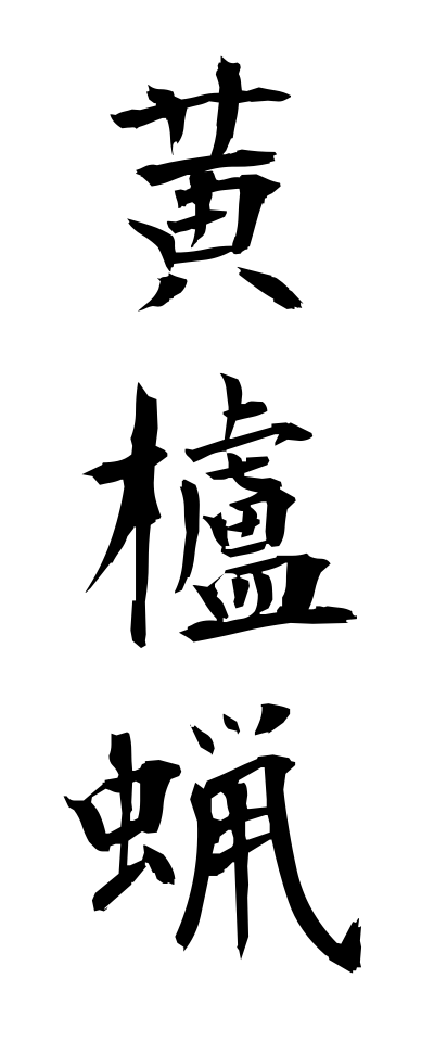 h10392黄櫨蝋はじろう