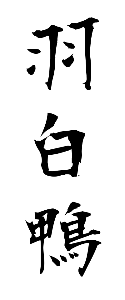 h10393羽白鴨はじろがも