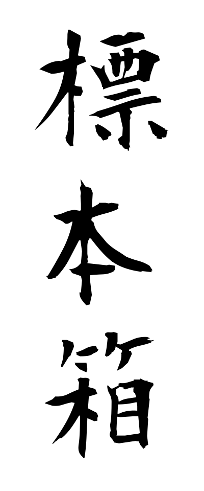 h20606標本箱ひょうほんばこ