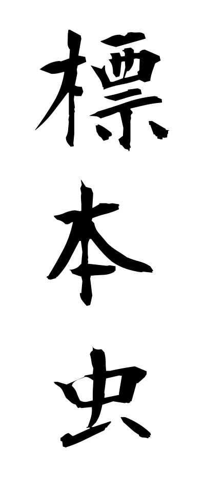 h20607標本虫ひょうほんむし