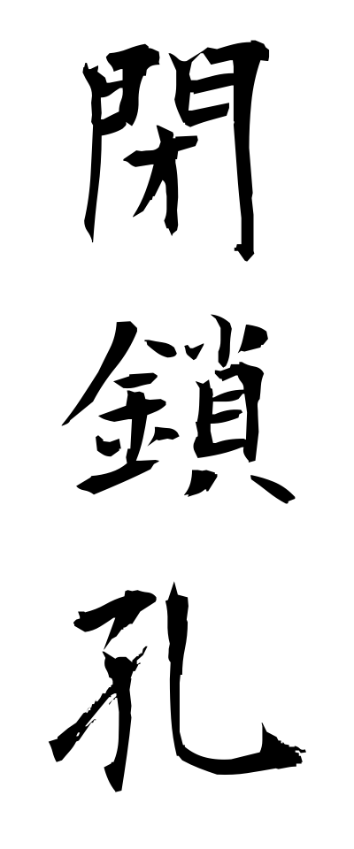 h40084閉鎖孔へいさこう