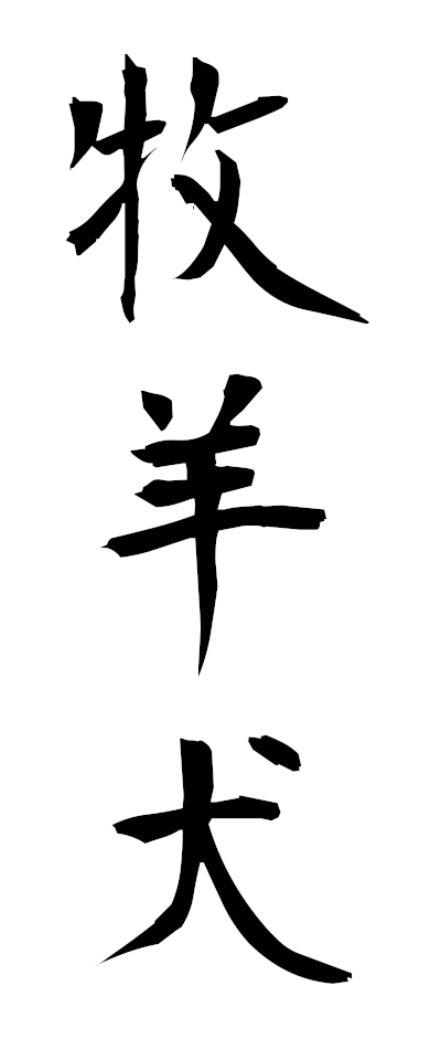 h50004牧羊犬ぼくようけん