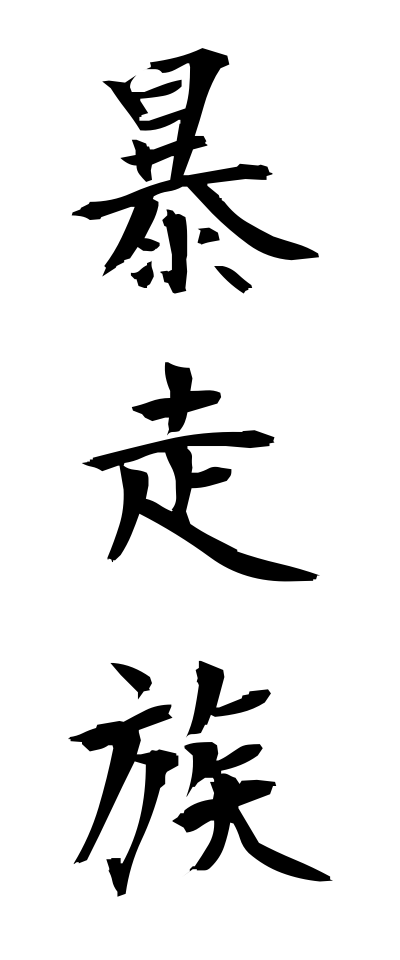 h50044暴走族ぼうそうぞく