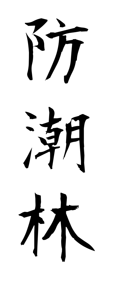 h50050防潮林ぼうちょうりん