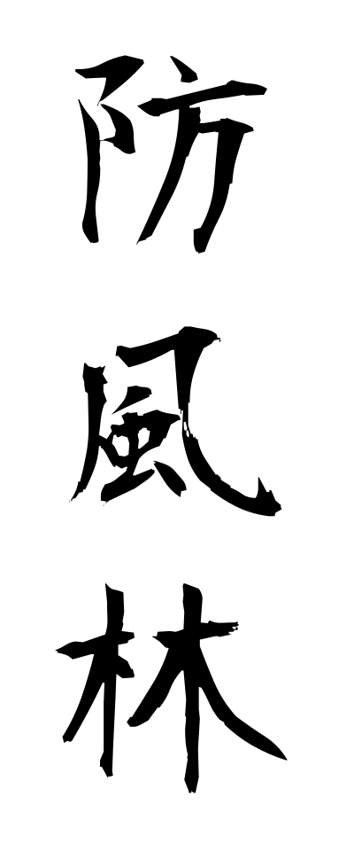 h50058防風林ぼうふうりん