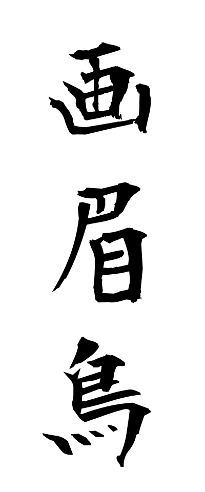 h50326画眉鳥ほおじろ