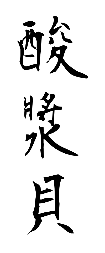 h50330酸漿貝ほおずきがい