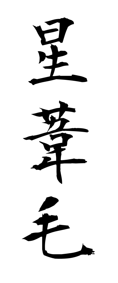 h50381星葦毛ほしあしげ