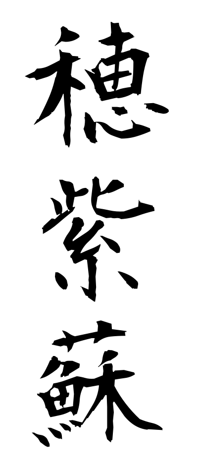 h50384穂紫蘇ほじそ