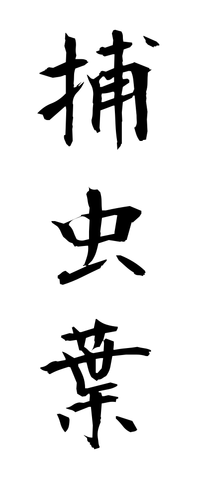 h50431捕虫葉ほちゅうよう