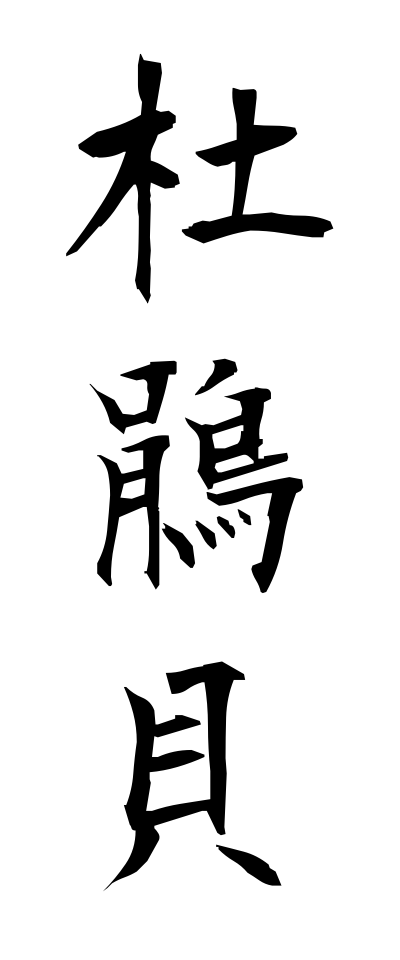 h50466杜鵑貝ほととぎすがい
