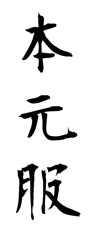 h50501本元服ほんげんぷく