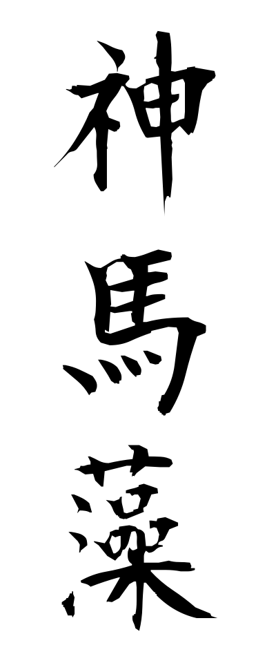 h50519神馬藻ほんだわら