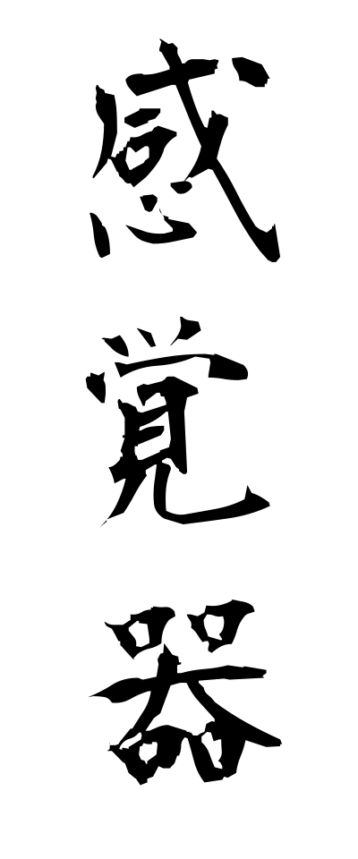 k11211感覚器かんかくき