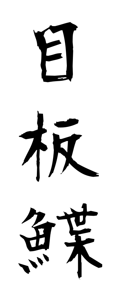 m40068目板鰈めいたがれい