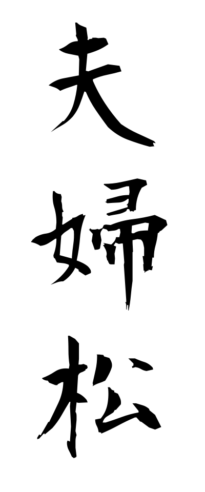 m40104夫婦松めおとまつ