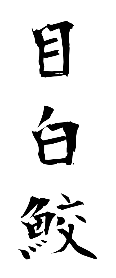 m40132目白鮫めじろざめ